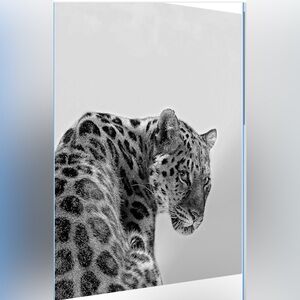 NWT No Label Tiger Poster Black White Designer Art Luxury Print 16x24in Unframed